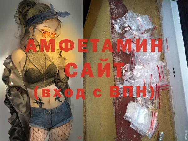 гидра Вязники