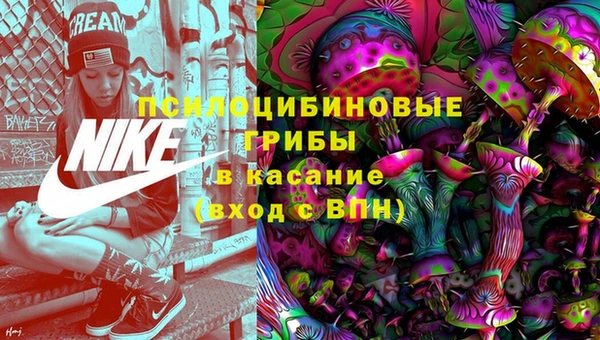 гидра Вязники