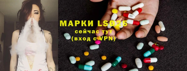гидра Вязники
