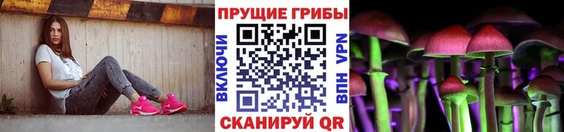 Псилоцибиновые грибы Cubensis  Сызрань 